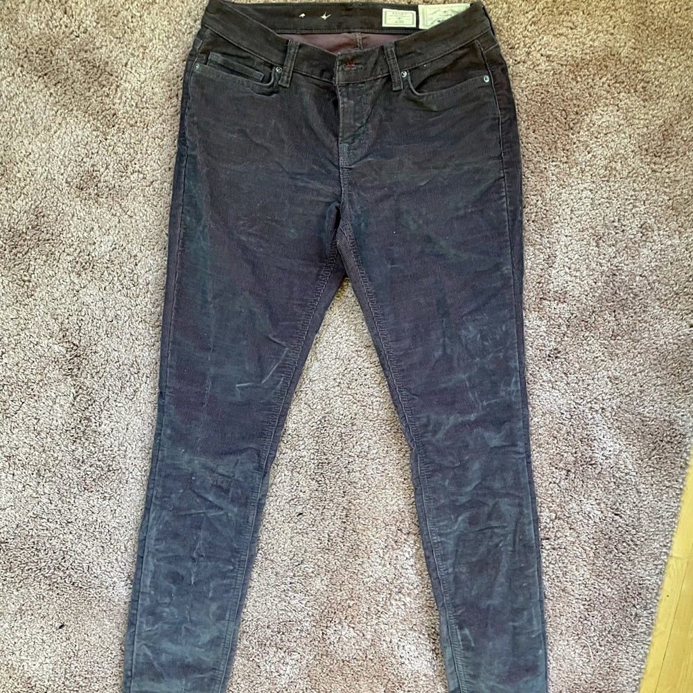 ALLSAINTS Designer Corduroy Pants